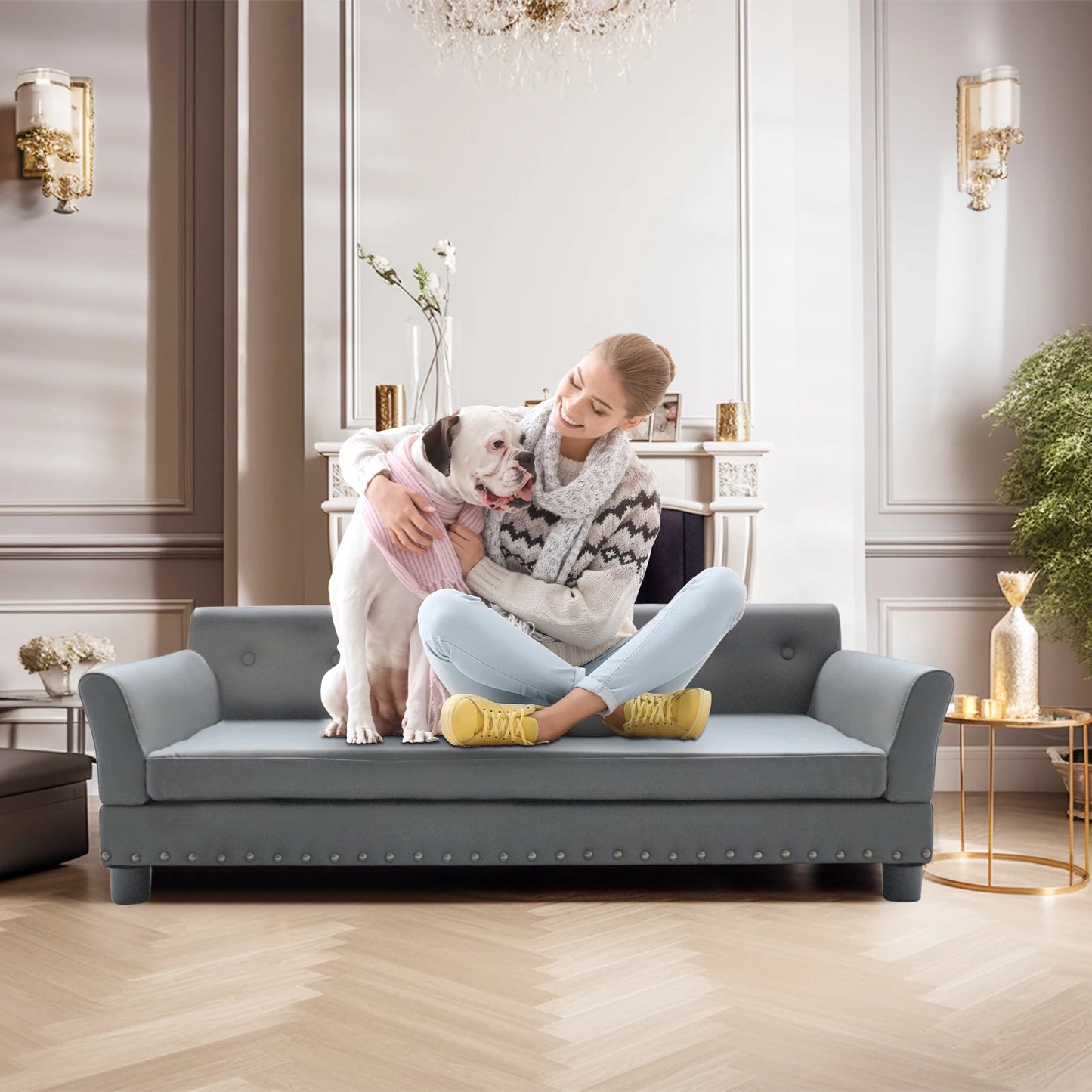 Modern elevated dog sofa bed for medium and large dogs