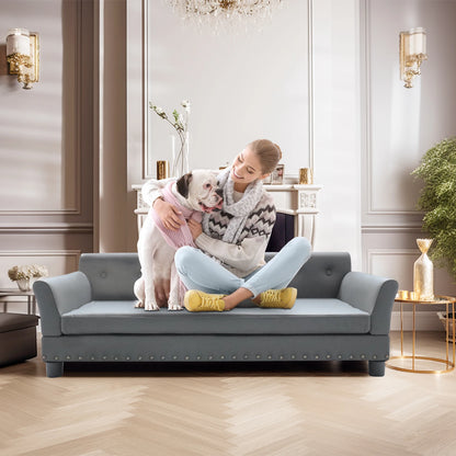 Modern elevated dog sofa bed for medium and large dogs