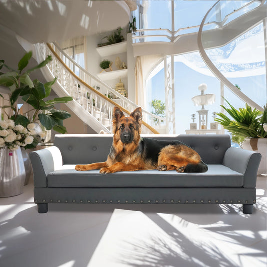Modern elevated dog sofa bed for medium and large dogs