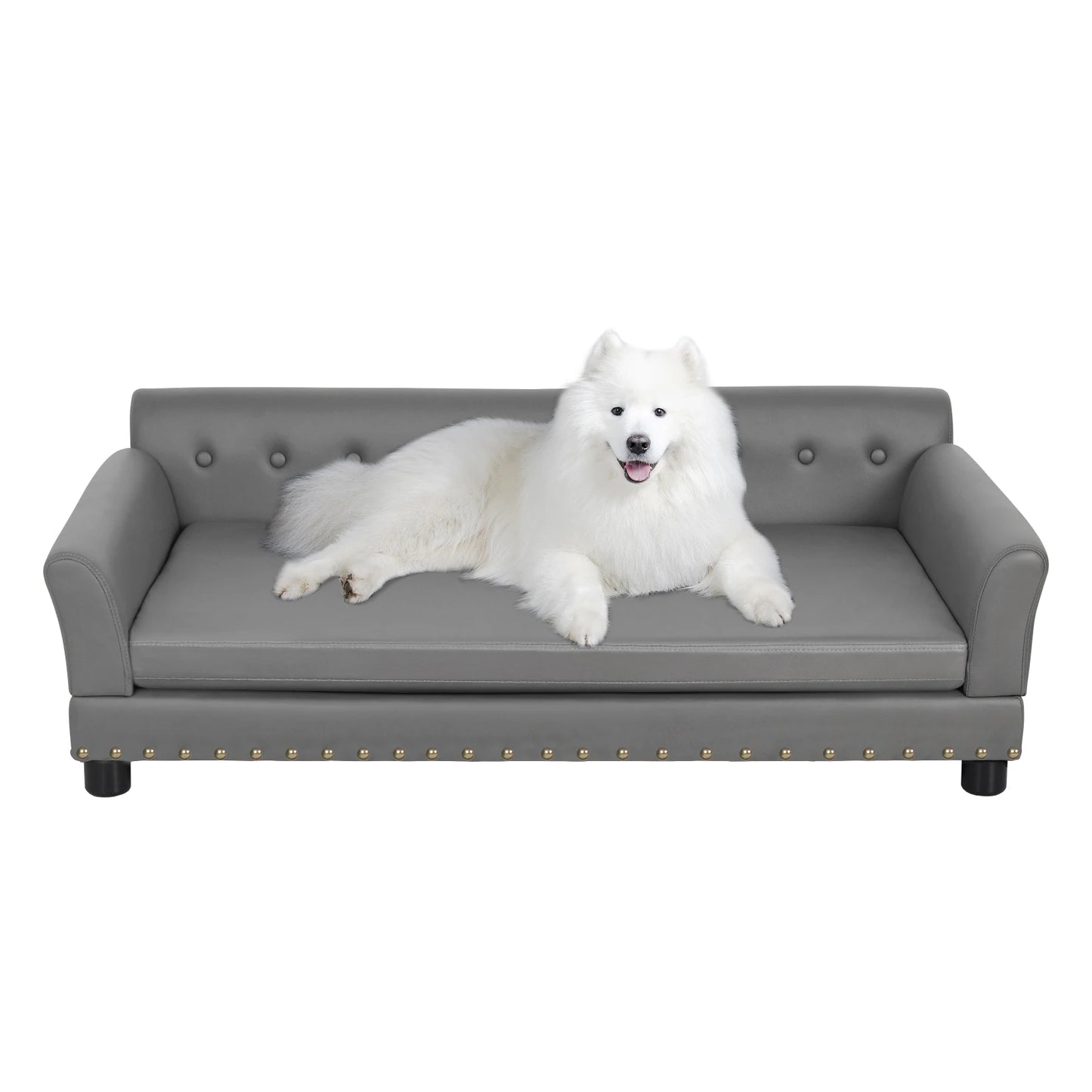 Modern elevated dog sofa bed for medium and large dogs