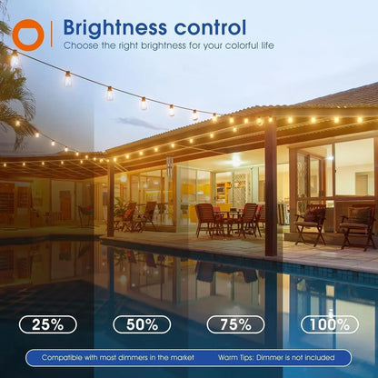 Waterproof dimmable shatterproof outdoor LED string lights