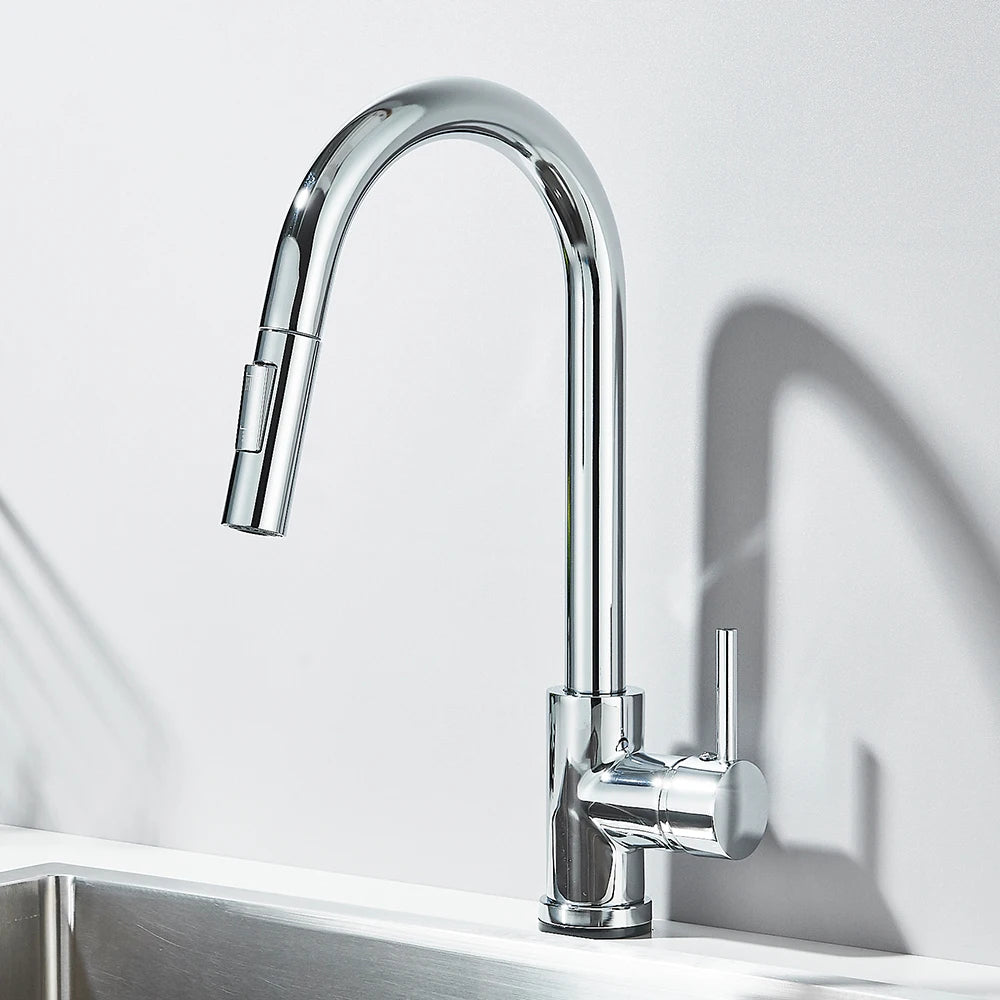 Pull-out kitchen faucet with dual spray modes
