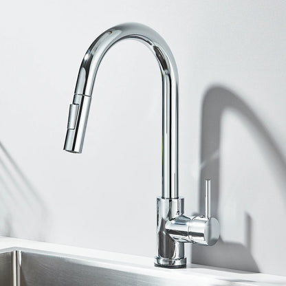 Pull-out kitchen faucet with dual spray modes