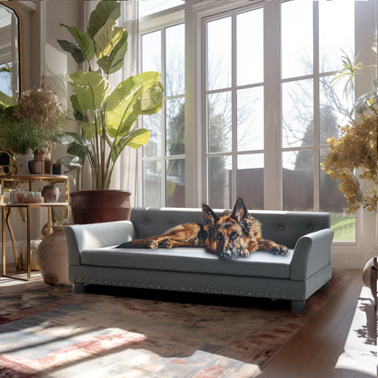Modern elevated dog sofa bed for medium and large dogs