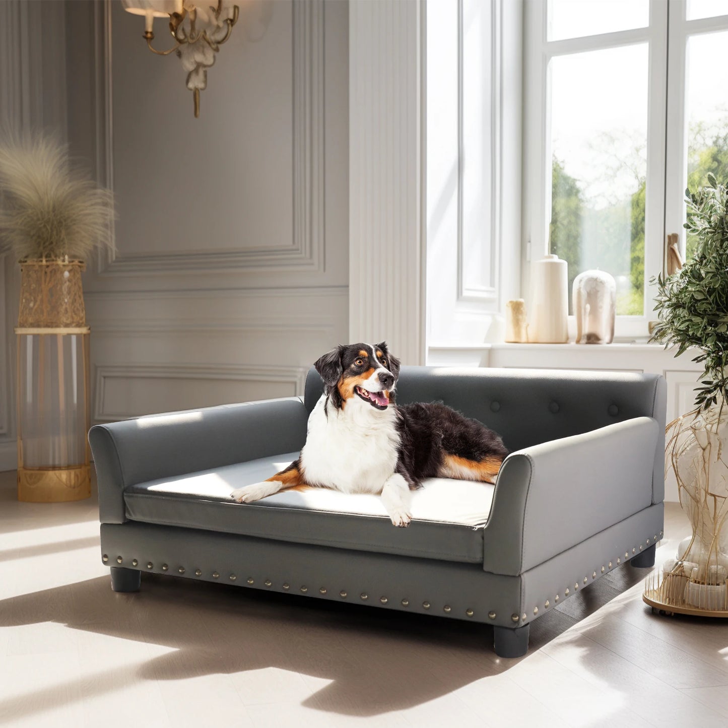 Modern elevated dog sofa bed for medium and large dogs