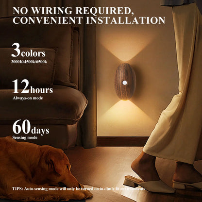 Rechargeable Motion Sensor LED Night Light