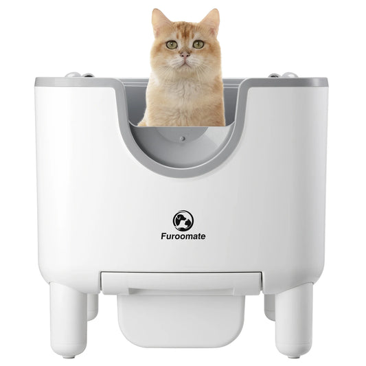 Automatic Self-Cleaning Litter Box